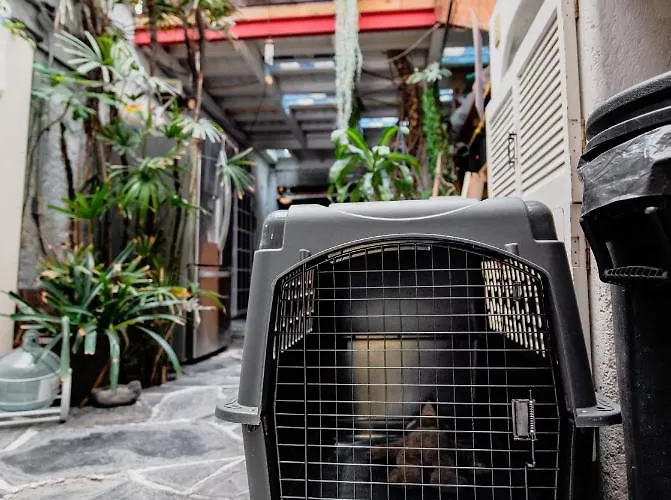 Hostel Hostal Mexico Airport Cdmx *