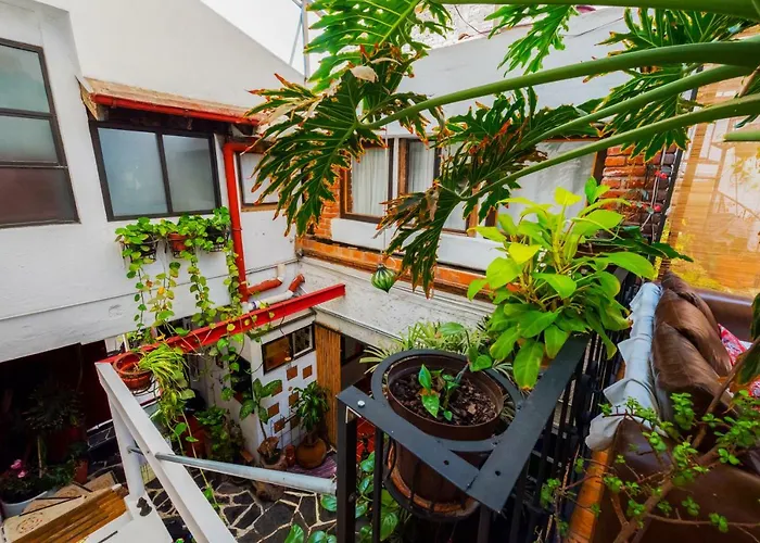 Hostal Mexico Airport Cdmx * Mexico City